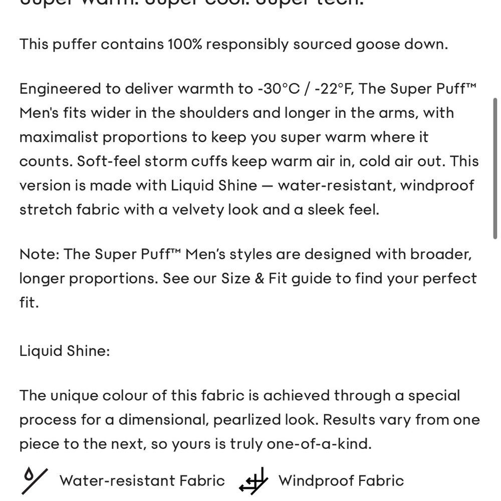 Aritzia Men's Super Puff Jacket - Picture 4 of 14